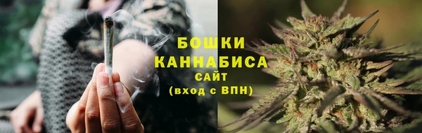 ECSTASY Галич