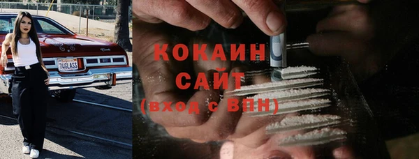 гашик Новозыбков