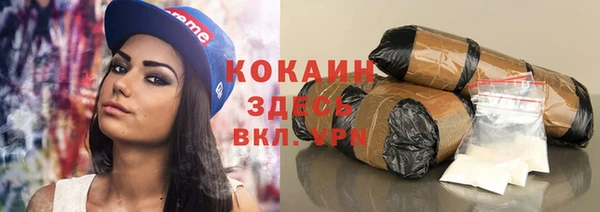 ECSTASY Галич