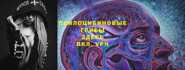 бошки Губаха